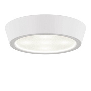 Светильник точечный накладной Lightstar Urbano Mini LED 214702 8Вт LED