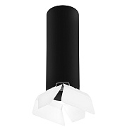 Светильник потолочный Lightstar RULLO R6497486 50Вт GU10
