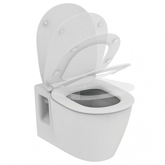Инсталляция с унитазом IDEAL STANDARD CONNECT PROSYS OLEAS™ P1 PR211601