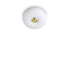 Светильник потолочный IDEAL LUX ARIZONA 214498 15Вт GX53