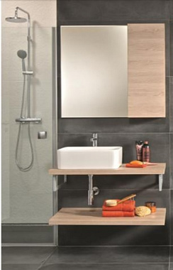 Раковина накладная ROCA Mila 7.3270.0.B00.0 50х35см