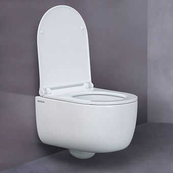 Унитаз подвесной BERGES EGO RR 082111RR безободковый с микролифтом