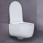 Унитаз подвесной BERGES EGO RR 082111RR безободковый с микролифтом