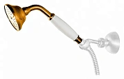 Ручной душ CAPRIGO PARTS 99-260-oro золото