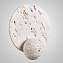 Светильник настенный ImperiumLOFT Phanuel 230983-23 6Вт LED