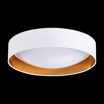 Светильник потолочный Evoluce ORBIO SLE201122-01 24Вт LED