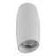 Светильник точечный накладной Lightstar Ballo 214466 50Вт GU10