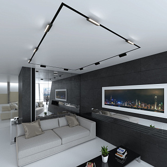 Магнитный трековый светильник Elektrostandard a057198 85010/01 12Вт LED чёрный