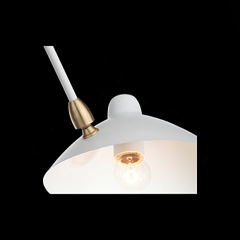 Люстра потолочная ST Luce SPRUZZO SL305.502.06 300Вт 5 лампочек E27