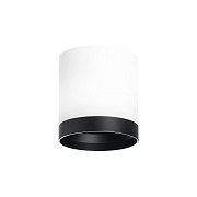 Светильник настенно-потолочный Lightstar Rullo R34863487 15Вт GX 5.3