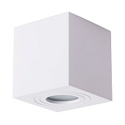 Светильник потолочный Arte Lamp GALOPIN A1461PL-1WH 35Вт GU10