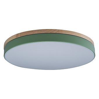Светильник потолочный Loft It Axel 10001/36 Green 36Вт LED