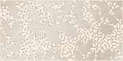 Декор BERYOZA CERAMICA Дубай 130127 1 бежевый 25х50см 0,875кв.м.