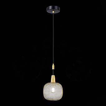 Светильник подвесной Evoluce ELITIS SLE1137-403-01 60Вт E14