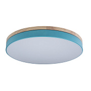 Светильник потолочный Loft It Axel 10001/36 Blue 36Вт LED