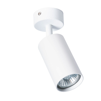 Светильник потолочный Arte Lamp AQUARIUS A3216PL-1WH 35Вт GU10