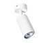 Светильник потолочный Arte Lamp AQUARIUS A3216PL-1WH 35Вт GU10