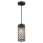 Светильник фасадный Odeon NATURE 4834/1 60Вт IP44 E27 чёрный