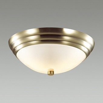Светильник настенно-потолочный Lumion KAYLA 5262/2C 120Вт E27