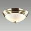 Светильник настенно-потолочный Lumion KAYLA 5262/2C 120Вт E27