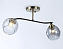 Люстра подвесная Ambrella TRADITIONAL Modern TR303008 240Вт 2 лампочек E27