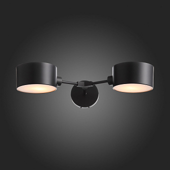 Светильник настенный Evoluce GIMENTO SLE183401-02 60Вт E14