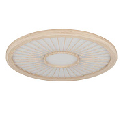 Светильник потолочный EGLO DEHESA 390296 36Вт LED