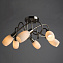 Люстра потолочная Arte Lamp VOLARE A4591PL-6SS 40Вт 6 лампочек E14