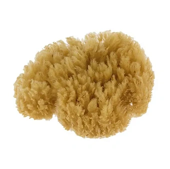 Губка Boldrini Натуральная