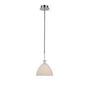 Светильник подвесной Lightstar Simple Light 810 810020 40Вт E14