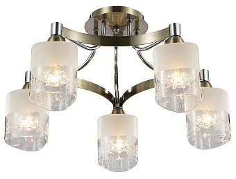Светильник потолочный Freya Tasmania FR5475CL-05CH 40Вт E14
