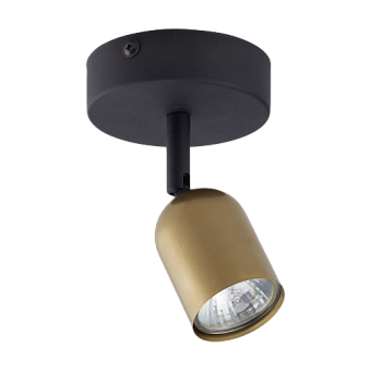 Светильник потолочный TK Lighting Top 3301 50Вт GU10