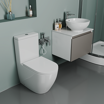 Унитаз напольный D&K DT1397016 безободковый с микролифтом