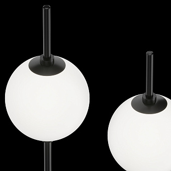 Торшер Maytoni The Sixth Sence Z020FL-L12BK 12Вт LED 2 плафонов