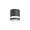 Светильник фасадный Favourite Flicker 1830-1U 6Вт IP44 GU10 чёрный