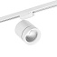 Трековый светильник Lightstar Canno Led 301264 15Вт LED белый для однофазного трека