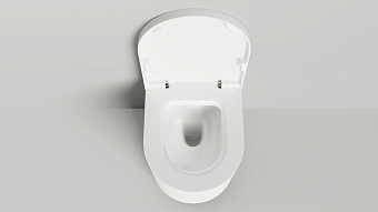 Унитаз подвесной SALINI GEMELLI 240121MRF безободковый с микролифтом