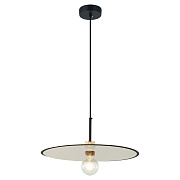 Светильник подвесной Lussole BUTLER LSP-8487 40Вт E27