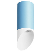 Светильник настенно-потолочный Lightstar Rullo R43536 50Вт GU10