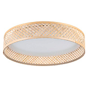 Светильник потолочный EGLO LUPPINERIA 900464 24Вт LED
