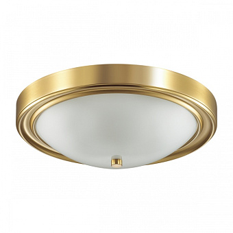 Светильник настенно-потолочный Lumion NINA 5259/3C 180Вт E27