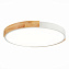 Светильник потолочный Evoluce DELIA SLE201352-01 40Вт LED