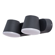 Светильник фасадный Arte Lamp CHICO A2212AL-2BK 6Вт IP54 LED чёрный