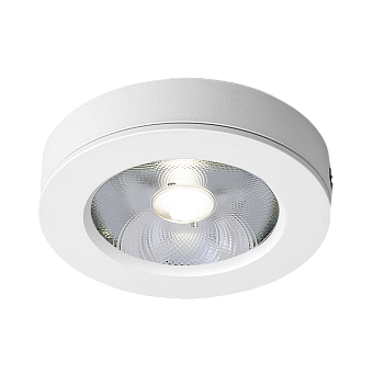 Светильник точечный накладной Elektrostandard a052413 DLS030 10Вт LED