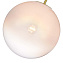 Светильник потолочный ST Luce CASSIUS SL1190.212.01 60Вт E27
