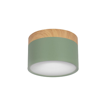 Светильник потолочный Loft It Grape 10162 Green 12Вт LED