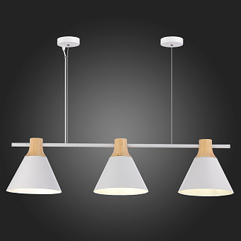 Светильник подвесной Evoluce MODICA SLE125103-03 120Вт E14