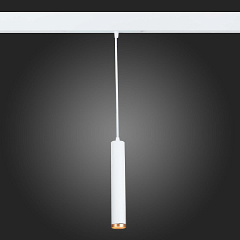 Магнитный трековый светильник ST Luce ST659 ST659.593.10 10Вт LED белый