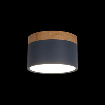 Светильник потолочный Loft It Grape 10162 Blue 12Вт LED