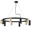 Люстра подвесная Lightstar Rullo LR0204058750 500Вт 10 лампочек GU10
